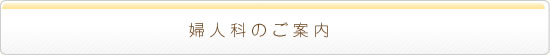 婦人科／一般診療／健康診断／ピル